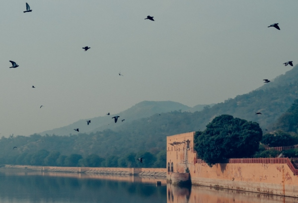 Green: An Ode to Harmony and Serenity